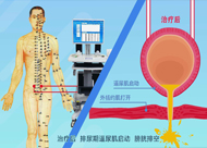 &#20964;&#20976;&#40;&#20013;&#22269;&#41;&#23448;&#26041;&#32593;&#31449;&#45;&#30331;&#24405;&#20837;&#21475;